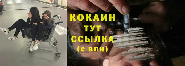 ГАЛЛЮЦИНОГЕННЫЕ ГРИБЫ Абаза