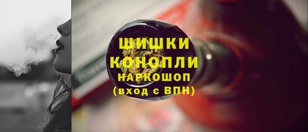 ГАЛЛЮЦИНОГЕННЫЕ ГРИБЫ Абаза