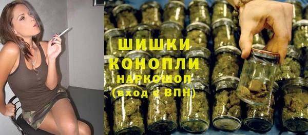 ГАЛЛЮЦИНОГЕННЫЕ ГРИБЫ Абаза