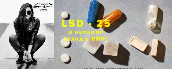 ГАЛЛЮЦИНОГЕННЫЕ ГРИБЫ Абаза