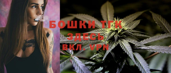 стаф Абдулино